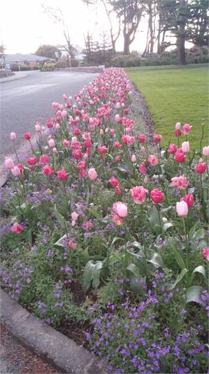 Explore the gardens & museum