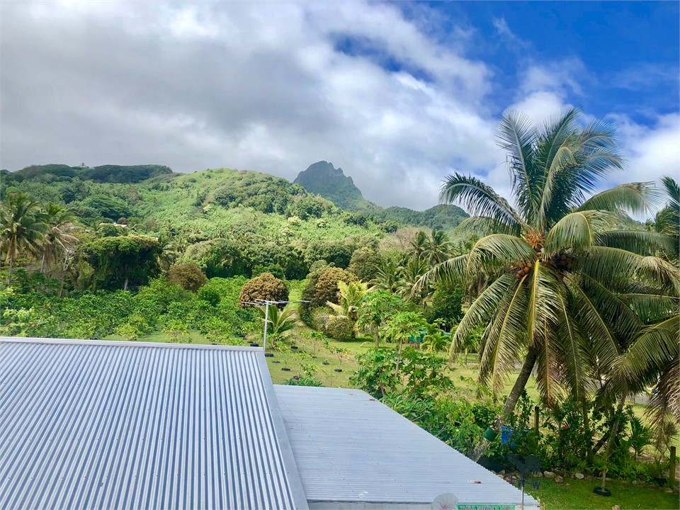 Wonderful Views of the lush mountains