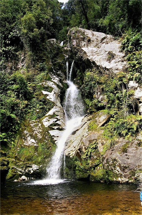 Dorothy Falls, Lake Kaniere.