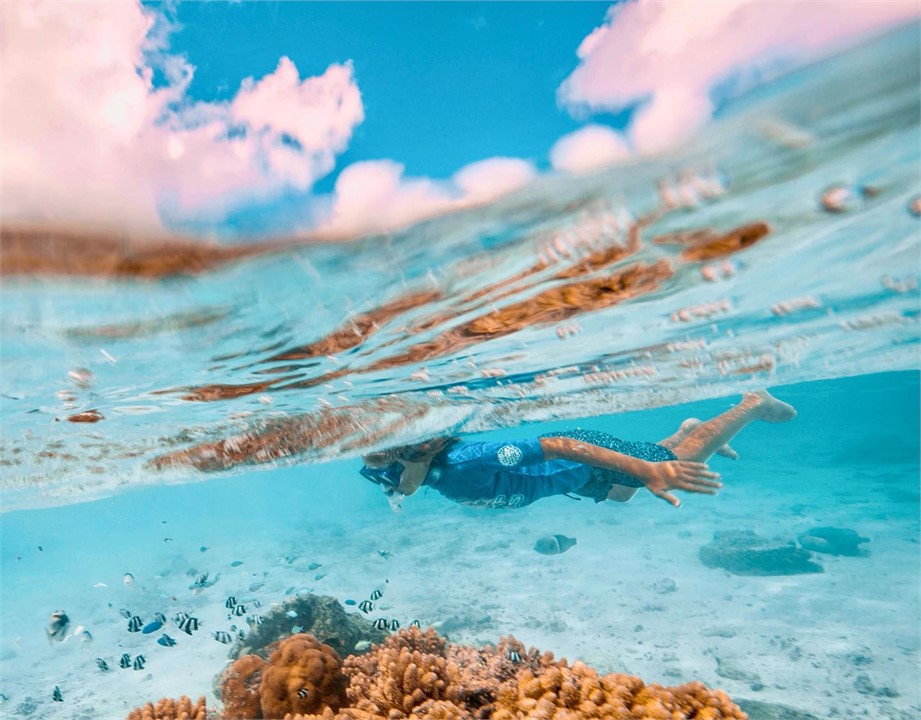 the lagoon is full of marine life