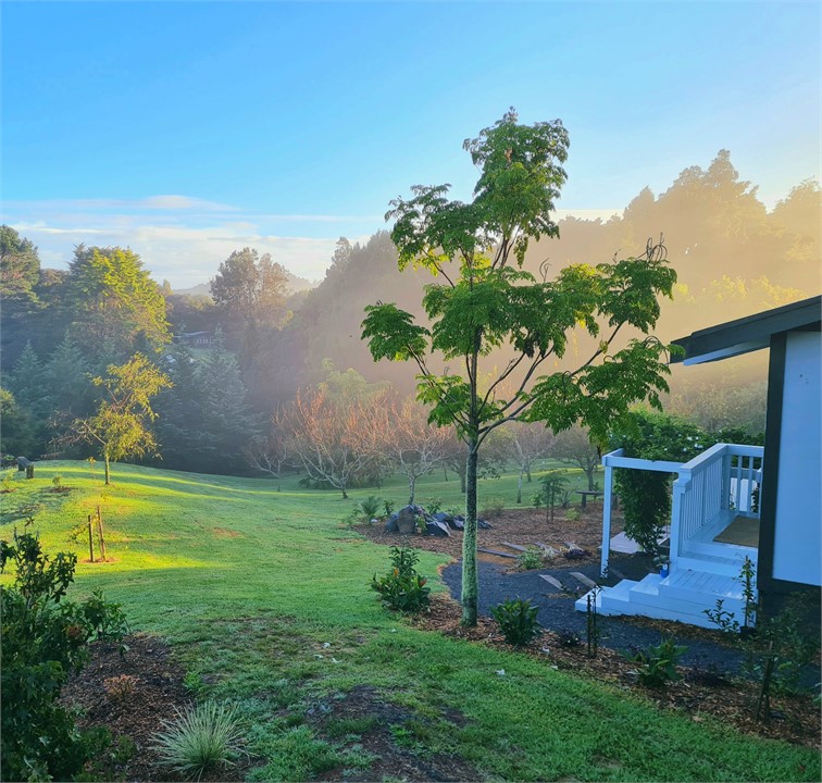 Morning view across the orchard