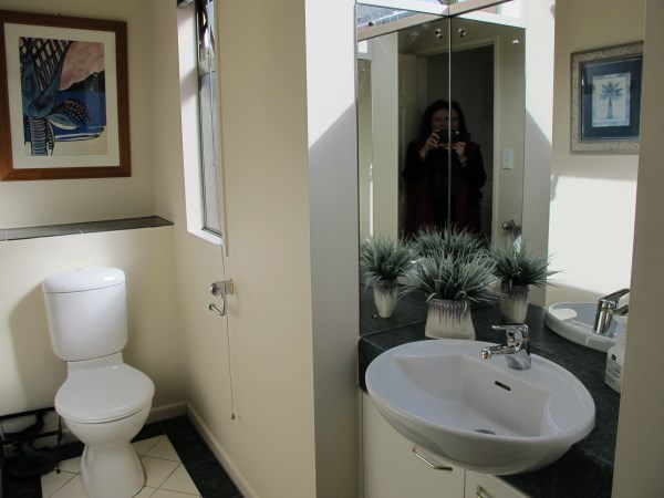 Guest Powder room upstairs