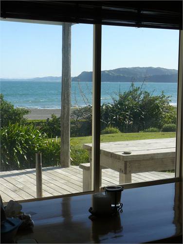 view from dinning room