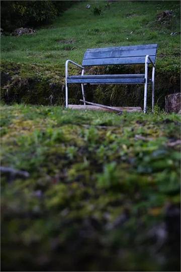 Stan's Memorial Beer Garden