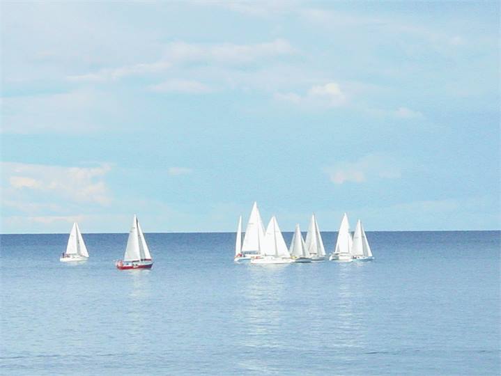View of Sailboats from the apartment