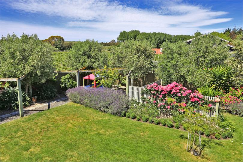 Large fenced backyard