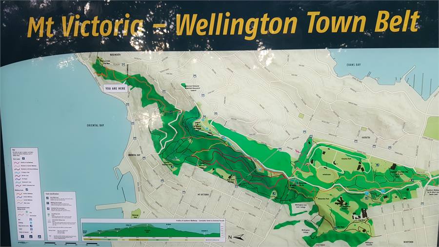 Walking tracks on your door step.