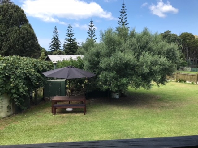 Outdoor Dining under the Olive