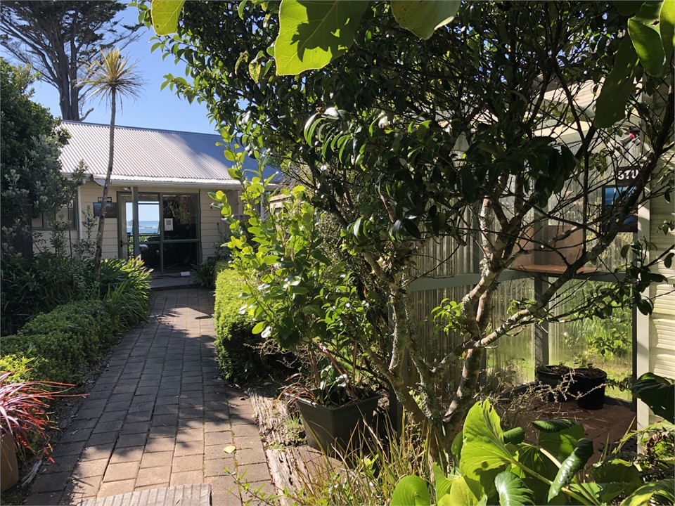 Path connecting Cottage and Studio