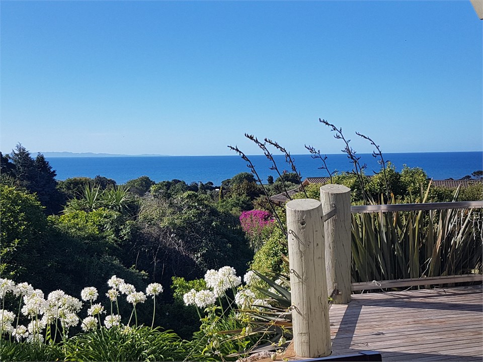 The steep coastal garden adds year-round interest.