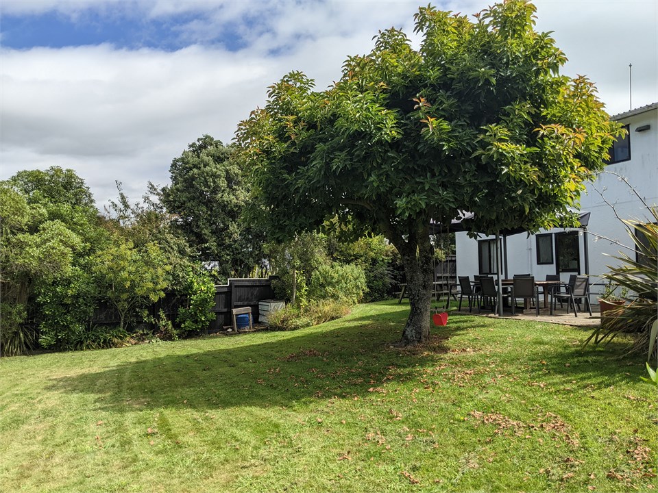 Backyard,  with swings