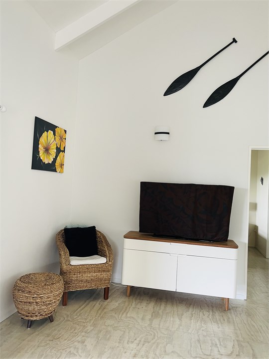 Upstairs Lounge TV Area