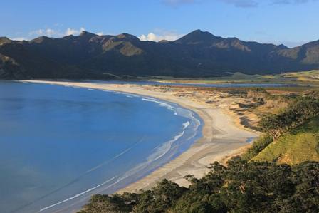 view of the beach from up on the farm