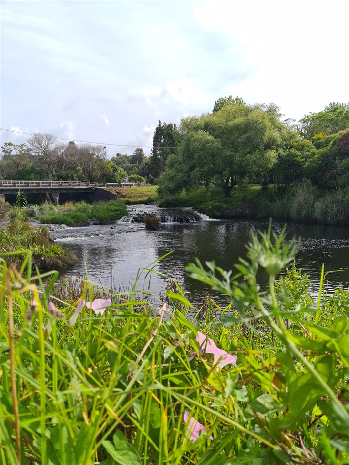 Landing Road bridge and swiming hole near the Waip