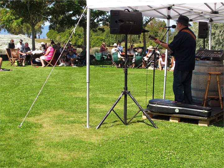 ...and music at Woollaston's vineyard...