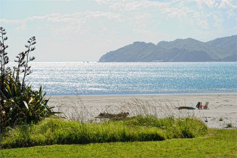Front lawn, beach, water, radness