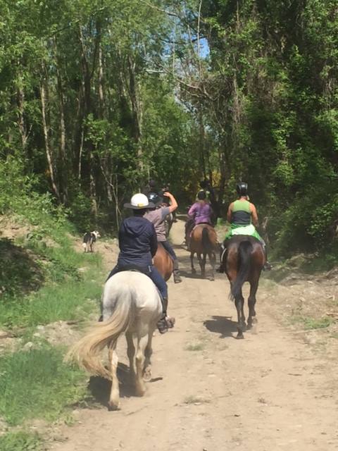 endless tracks & Trails