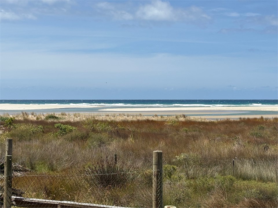 Pakiri Beach