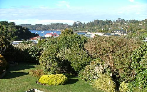 The View from Kowhai Lane