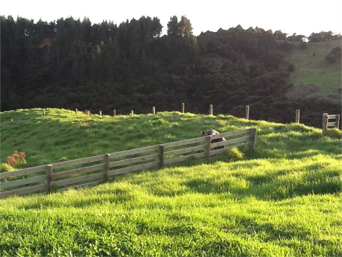 A glance to the east!