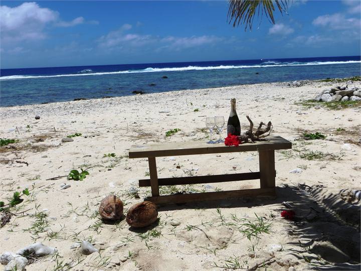 Beachcomber's life at Heron's Reef