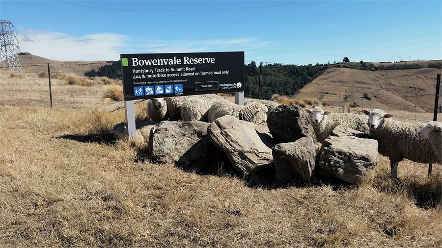 Nearby walks, 4 wheel drive, biking tracks