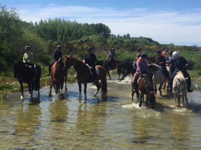 Dip your feet in the river