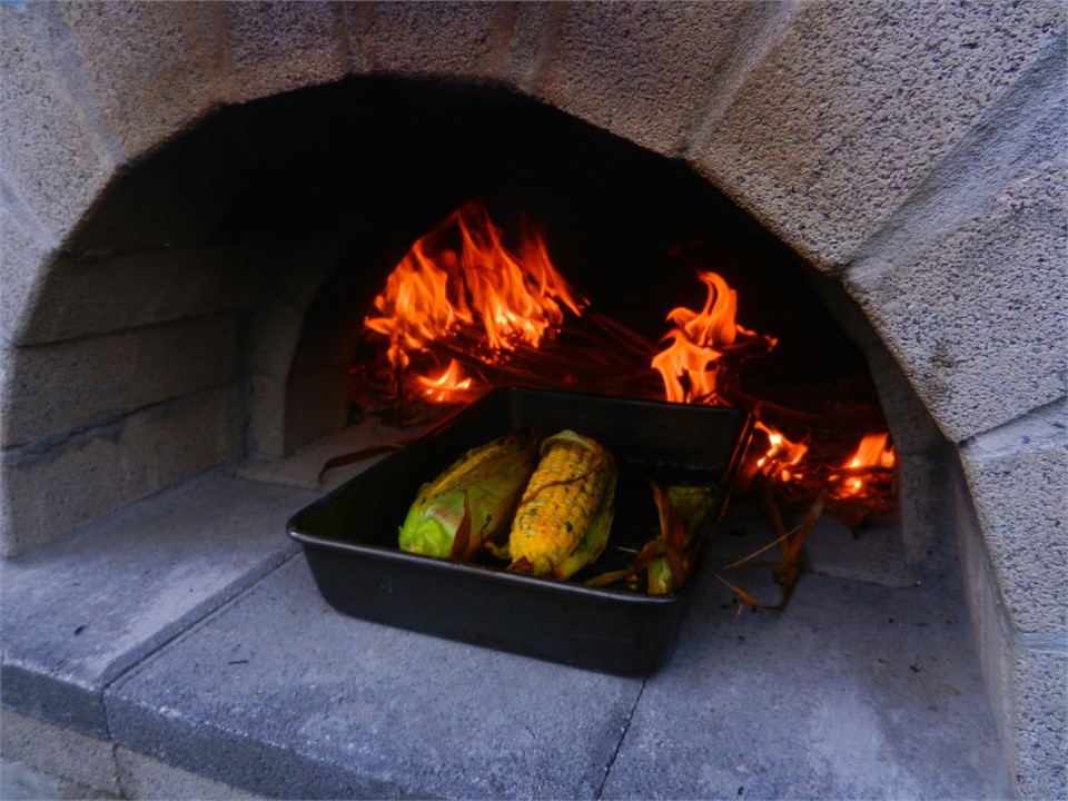 Woodfired pizza oven