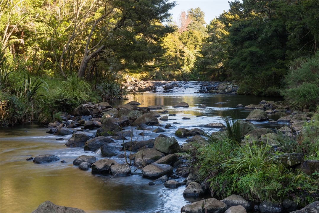 Puketotara stream