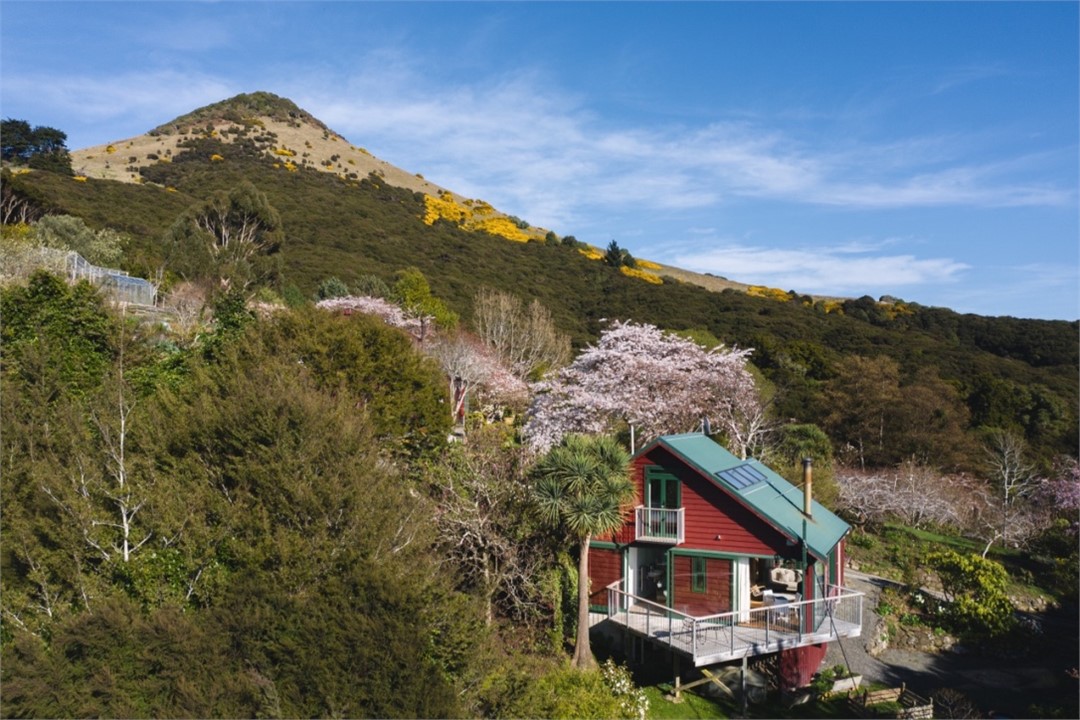 The Retreat is surrounded by cheery blossom in the