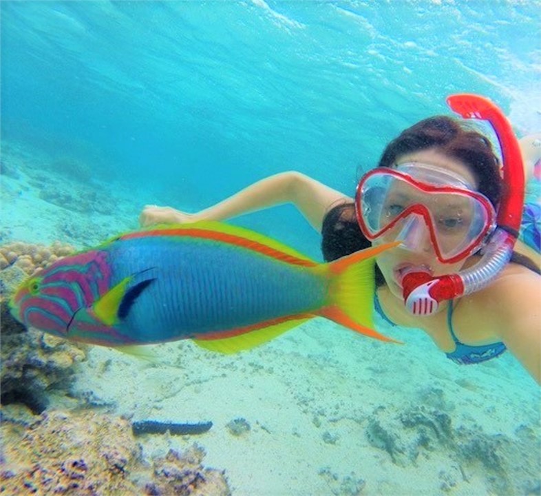 so much colour and activity in the lagoon