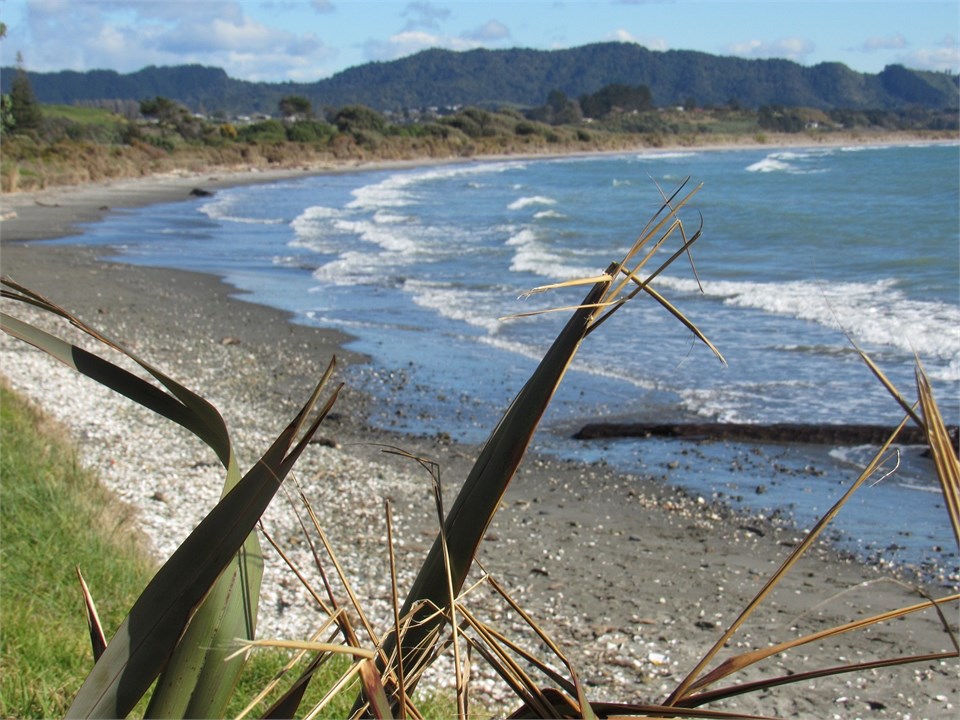 Beachfront Opotiki Opotiki Bach for rent Holiday Houses
