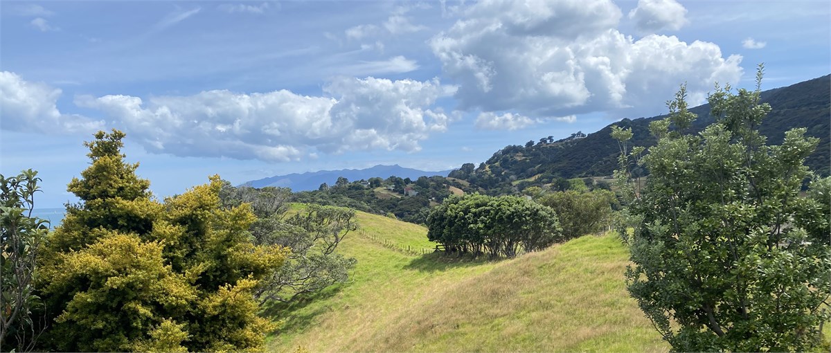 Farm view from one side of the deck (sea view on t