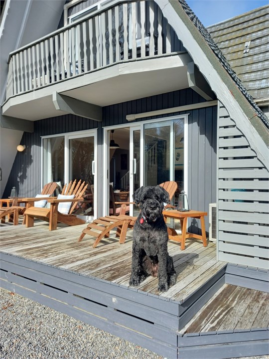 Wedding parties and pooches ( pet fee applies)