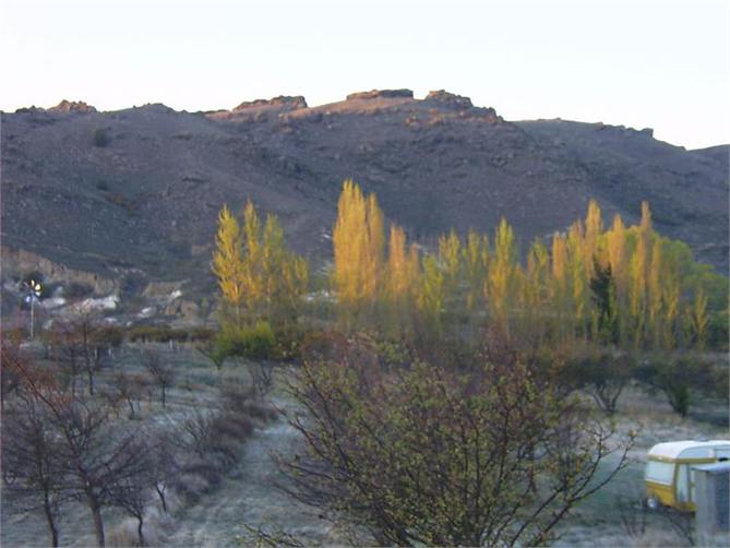 Rocky Thyme covered hills