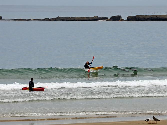 Hector Dolphin surf with a kayaker