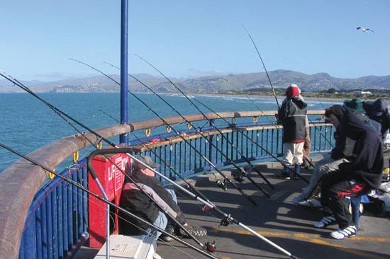 fishing off the pier