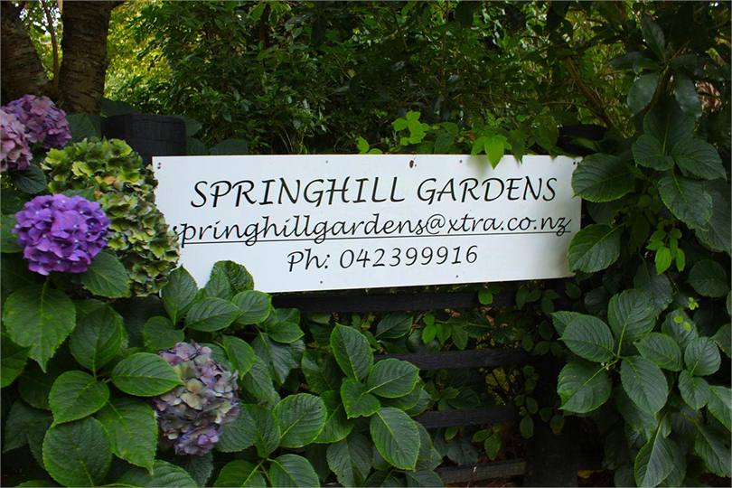 Welcome to Springhill Gardens