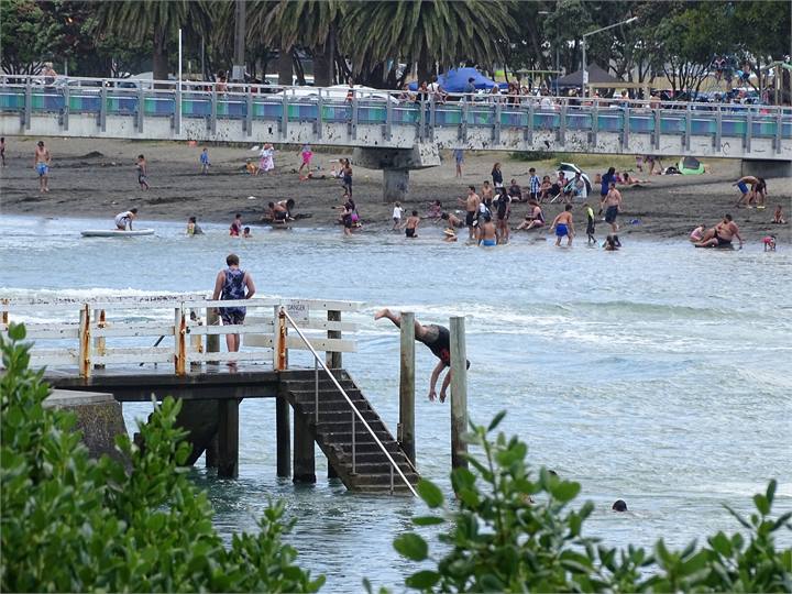 Harbour swimming and bridge jumping