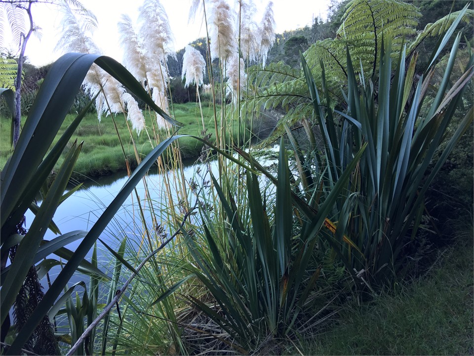 beautiful walks around farm