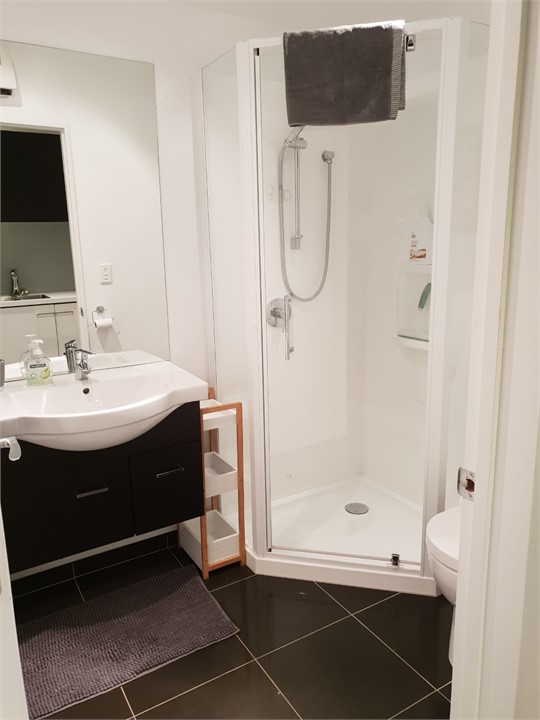 Modern bathroom - sink, shower and toilet