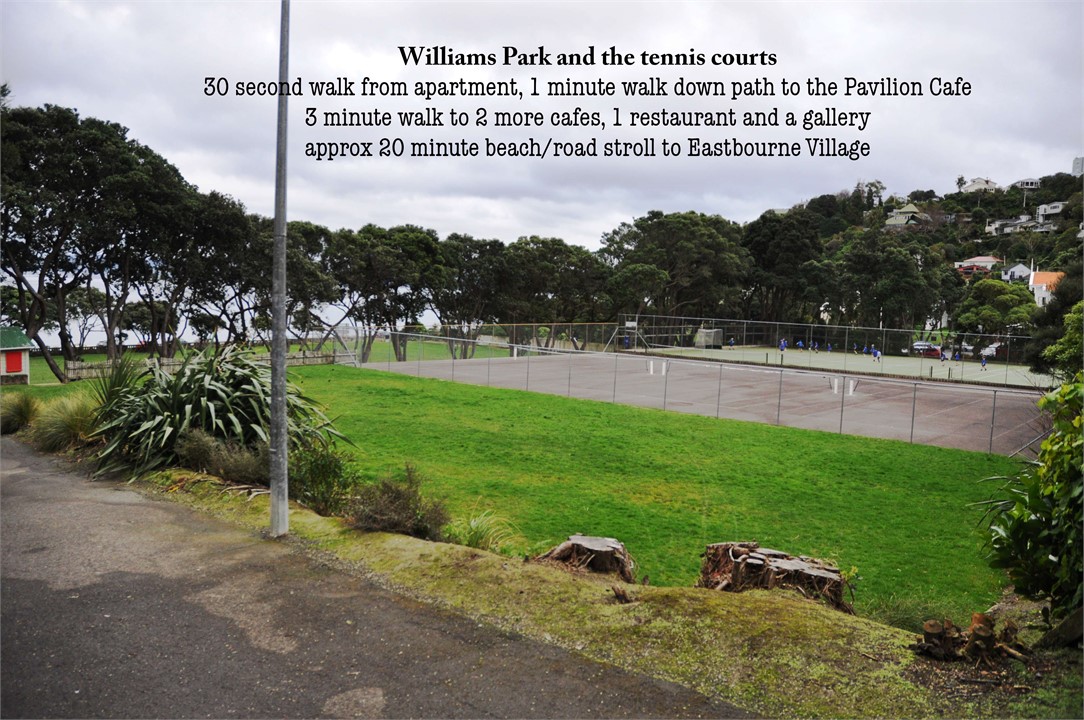 Days Bay Studio Accommodation: Environs