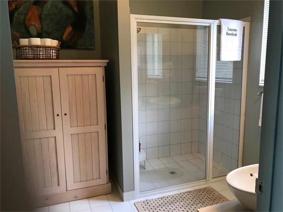 Large Shower in Master Bath