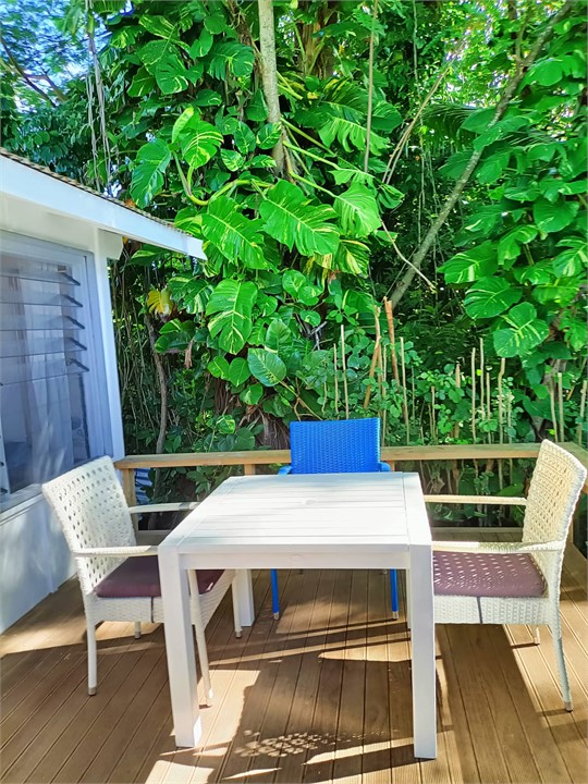 River Studio Al Fresco Dining under the tree canop