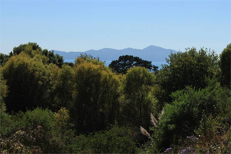Nearby Kapiti Island view