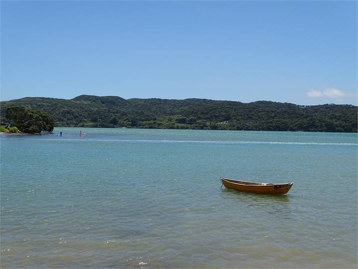 Local beach and Stand Up Paddleboarding