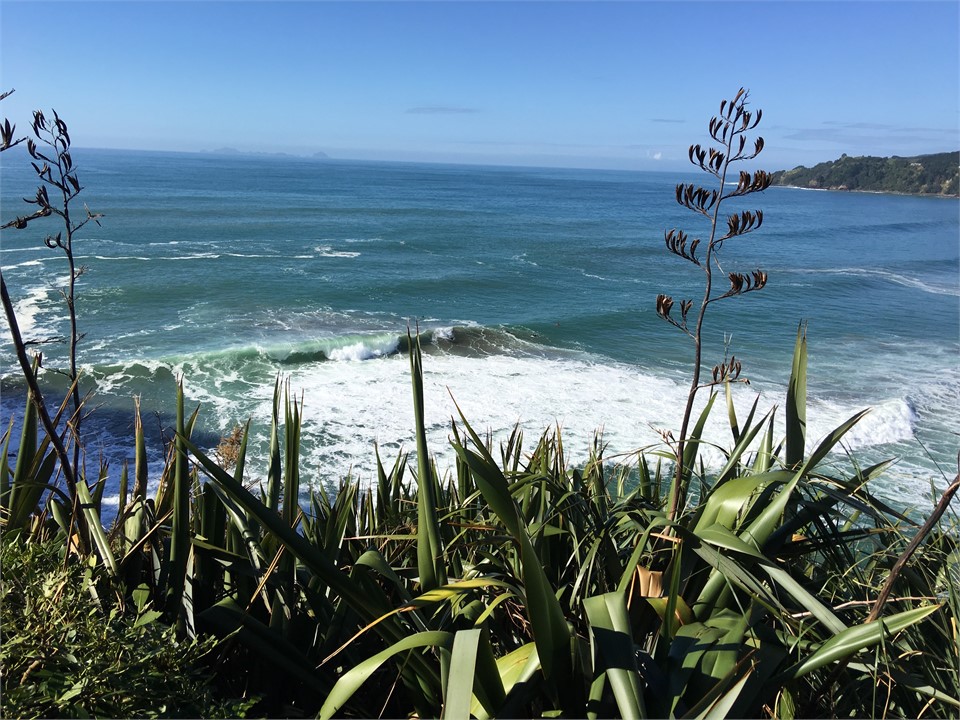 photo taken from wedding knoll