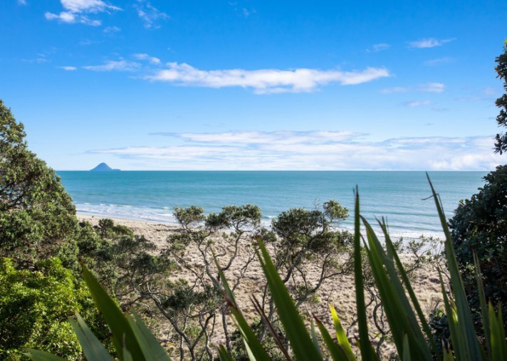 views to Whale Island