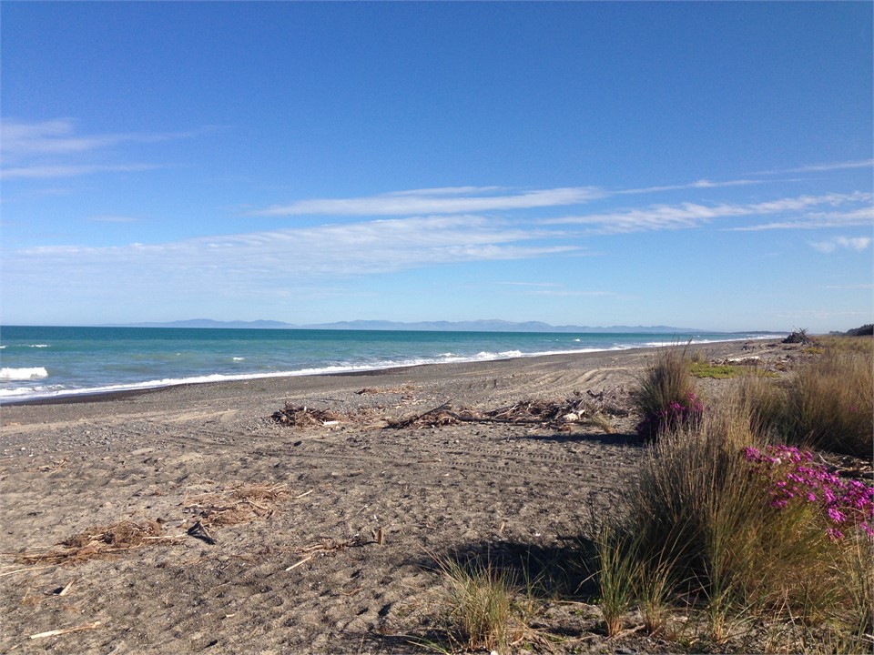 Leithfield Beach looking towards Christchurch