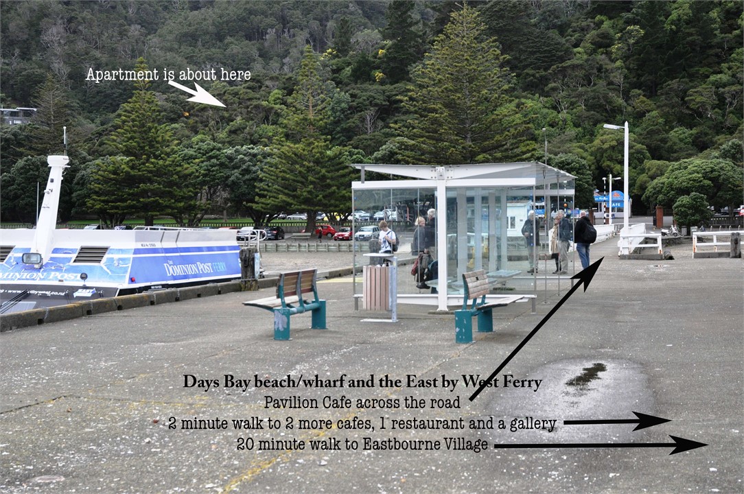 Days Bay Studio Accommodation: Environs